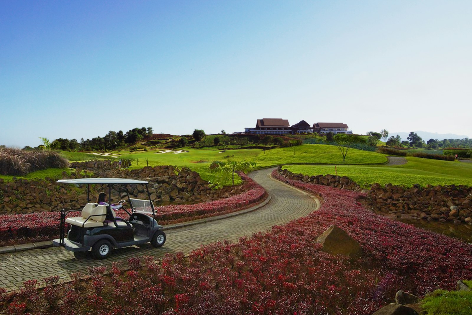 Golf Cart Shocks: Signs They Are Worn & Replacement Guide