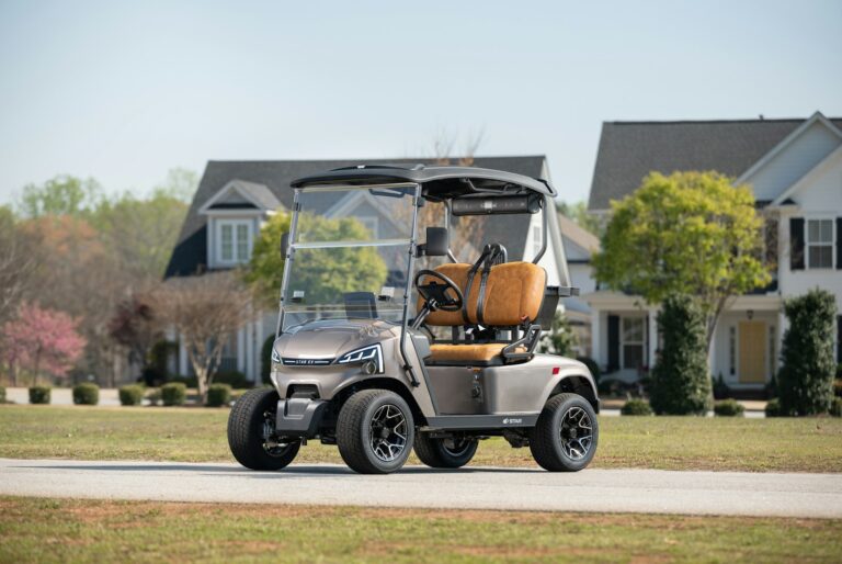 What Is a Rear Grab Bar on a Golf Cart?