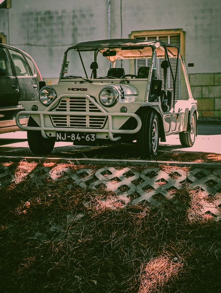 Golf cart wheels and tires