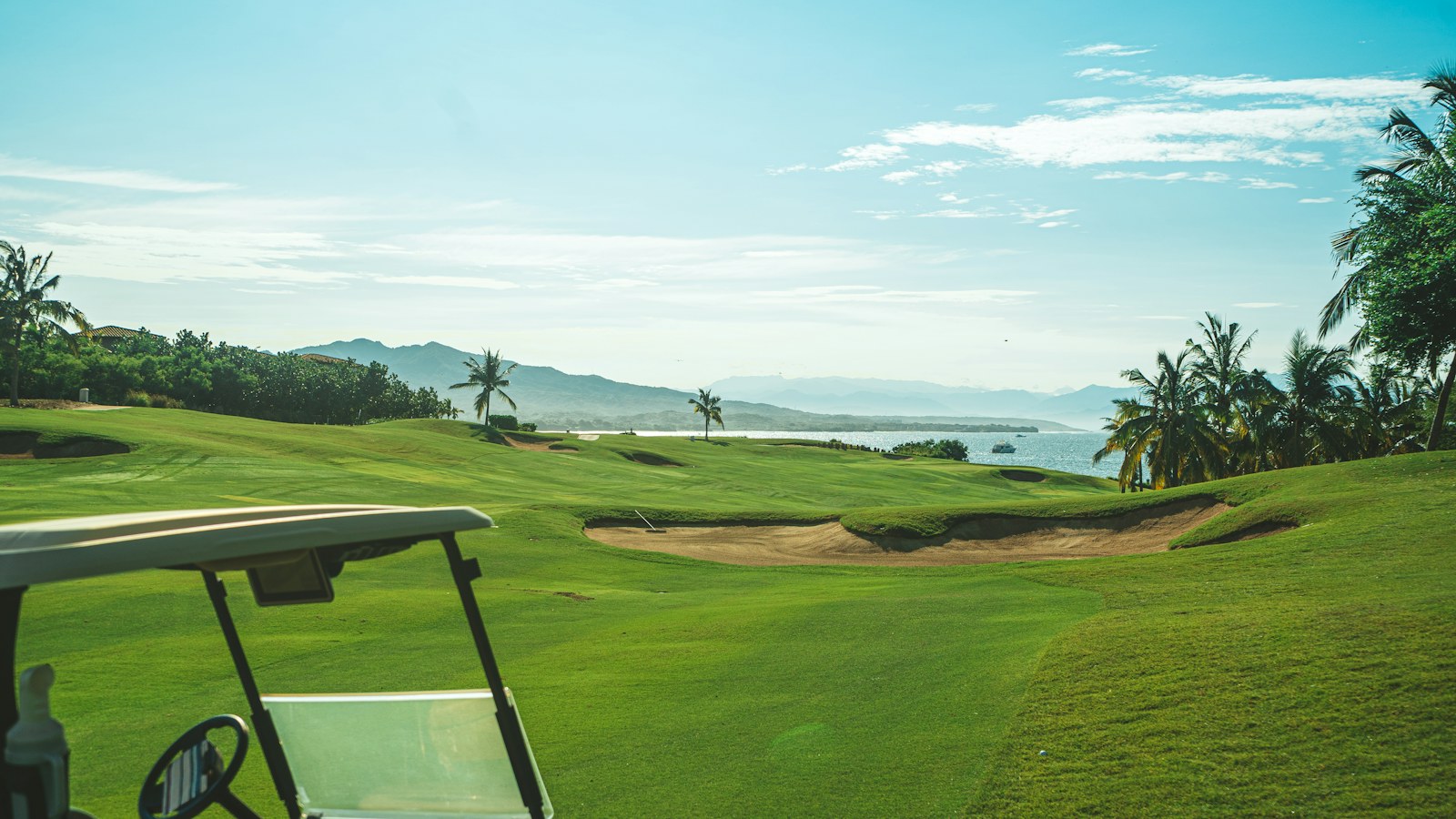 What to Look for When Buying a Used Golf Cart