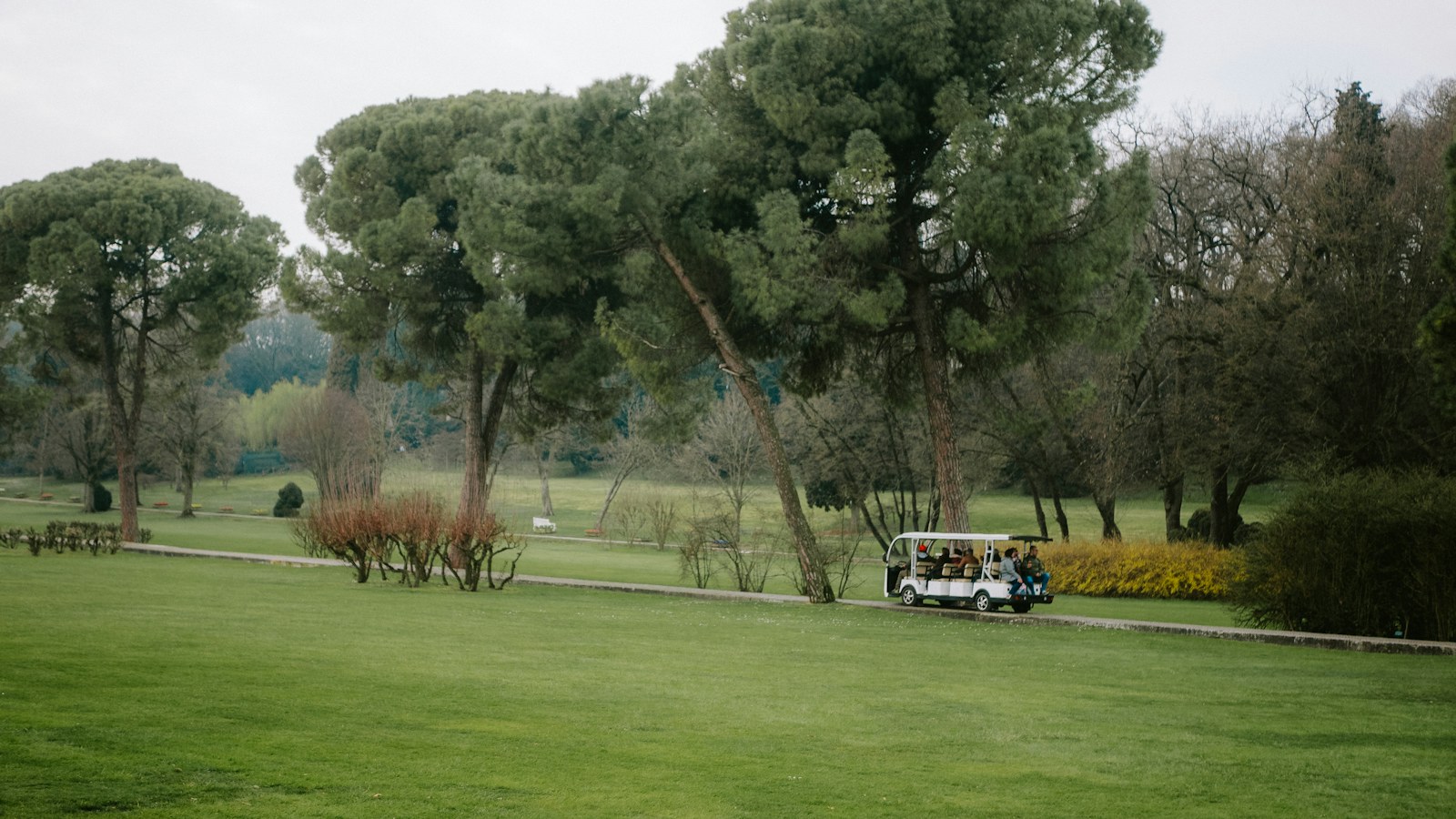 Golf Cart Street Safety: Lights, Mirrors, Seat Belts, and Visibility